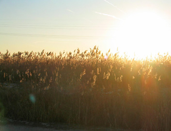 fundacion-portada-destacat-02